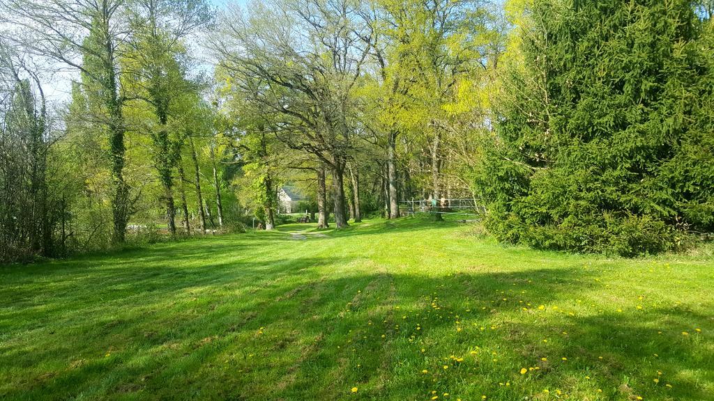 Camping De La Reuille Flere-la-Riviere Zewnętrze zdjęcie